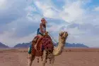 Guided Camel Ride — Hurghada